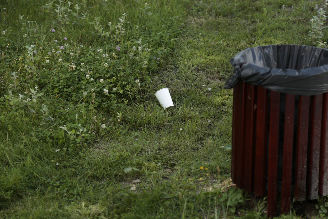 Huerta Otea, un parque con mucha vida y grandes inversiones