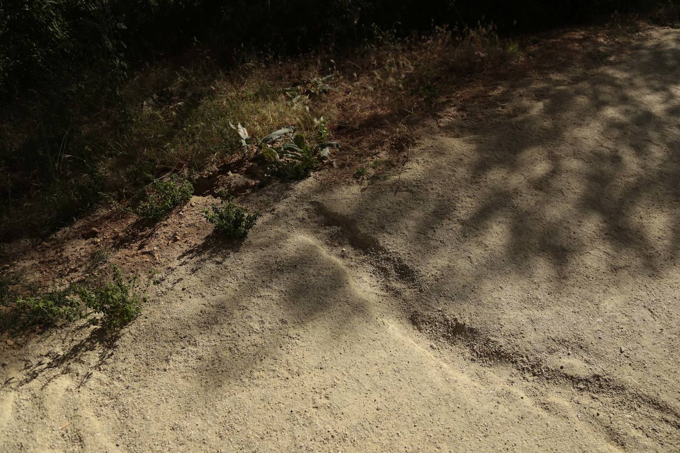 Huerta Otea, un parque con mucha vida y grandes inversiones