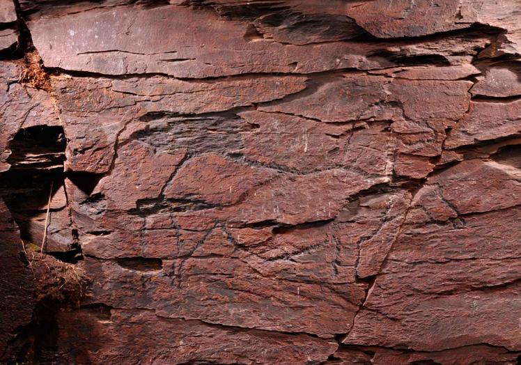 Imagen principal - El arte rupestre de La Salud, un BIC de 20.000 años a las puertas de Salamanca
