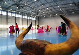 Una organización medioambientalista pide el cierre de la Escuela de Tauromaquia de Salamanca