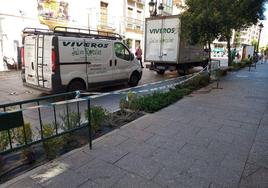 La vegetación se hace sitio en el centro de Salamanca y llega a la calle Zamora