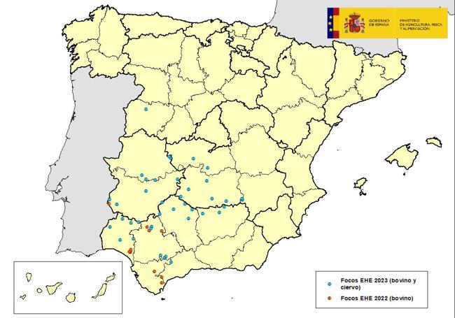 Casos de enfermedad hemorrágica epizoótica en España.