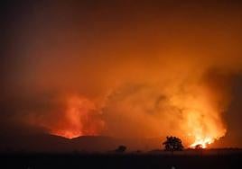 Incendio en Monsagro el pasado julio de 2022.