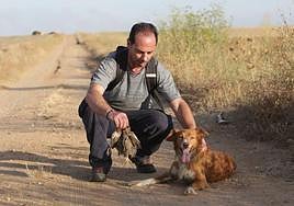 Un cazador en Zamora, durante el Inicio de la media veda en Castilla y León.