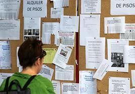 Un estudiante consulta anuncios de pisos compartidos.