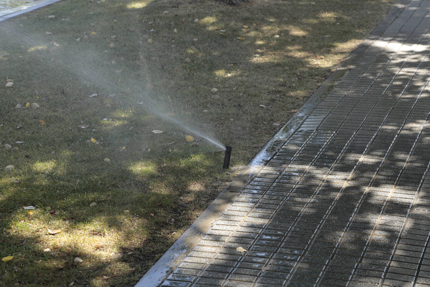 Los sistemas de riego de Salamanca, a examen