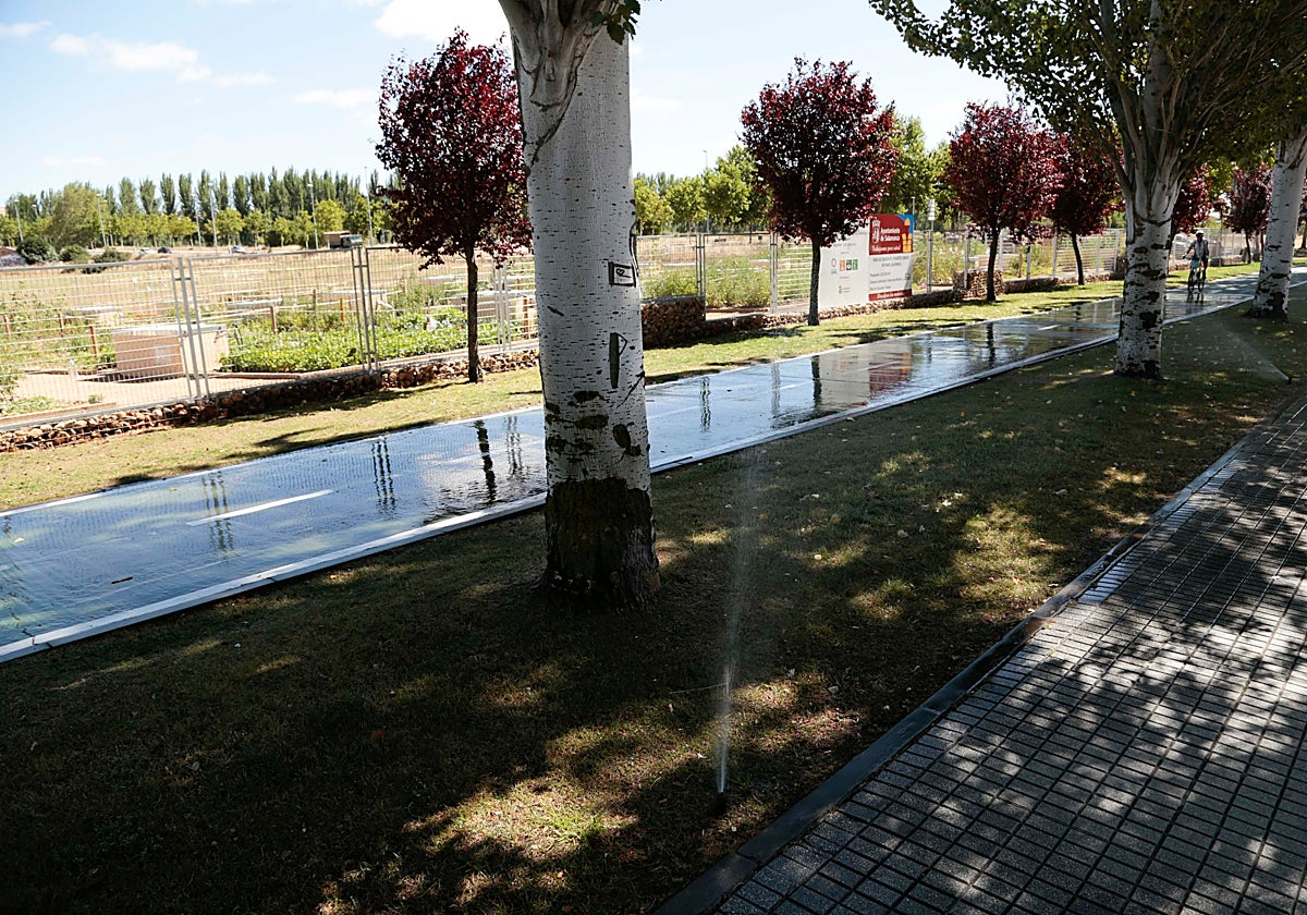 Salamanca despilfarra agua por el estado de los sistemas de riego de muchos jardines