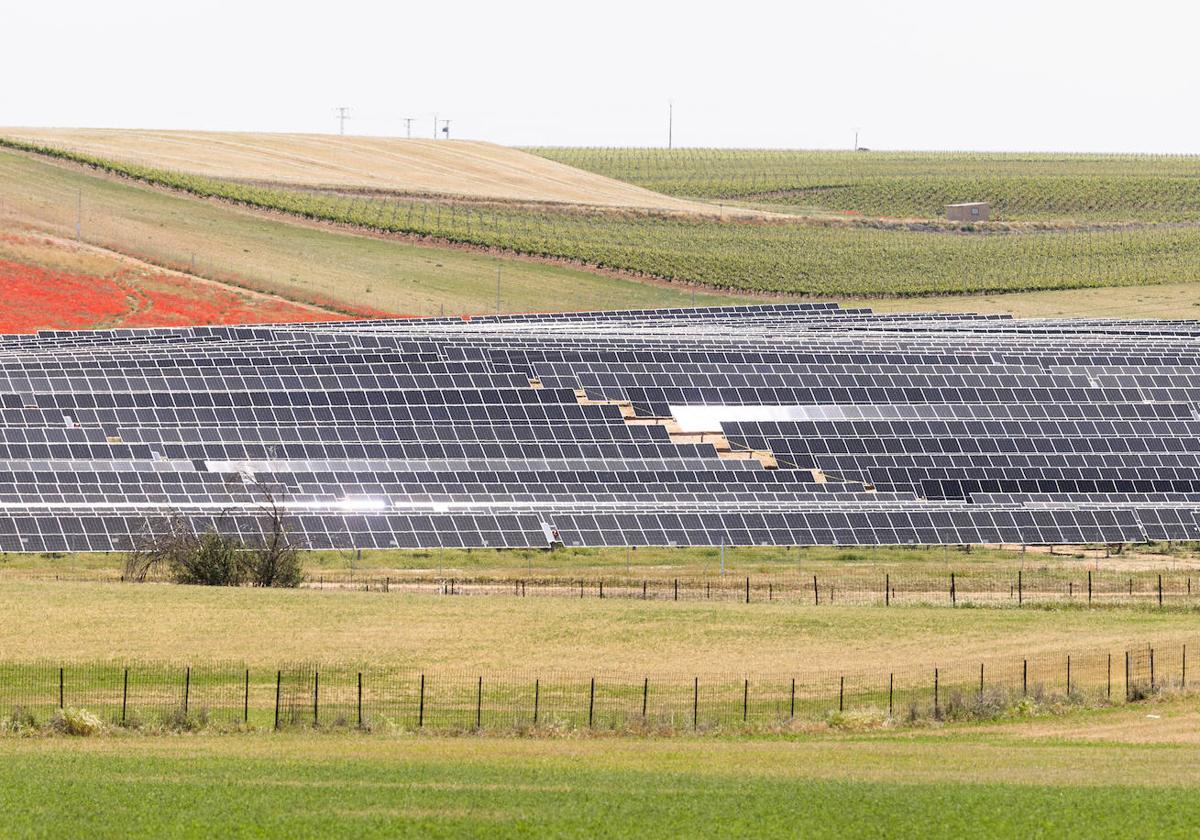 La Armuña se abastecerá de dos plantas solares para dar energía al regadío  | Salamancahoy