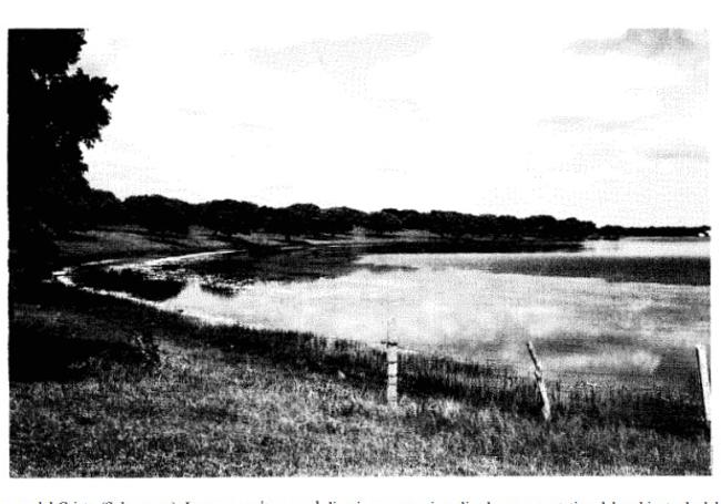 Laguna del Cristo, en 'Las lagunas de la España peninsular'.