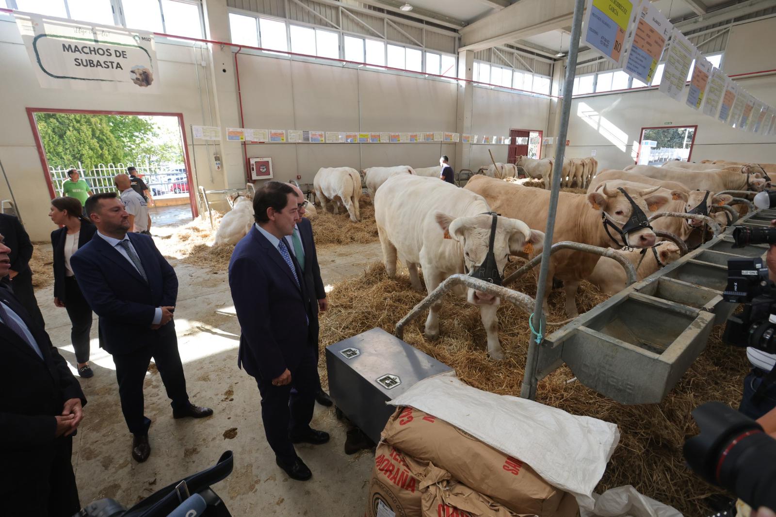 Inaugurada Salamaq, Feria del Sector Agropecuario y Exposición Internacional de Ganado Puro