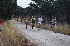 XIV Carrera de campo a través de la urbanización 'El Encinar'