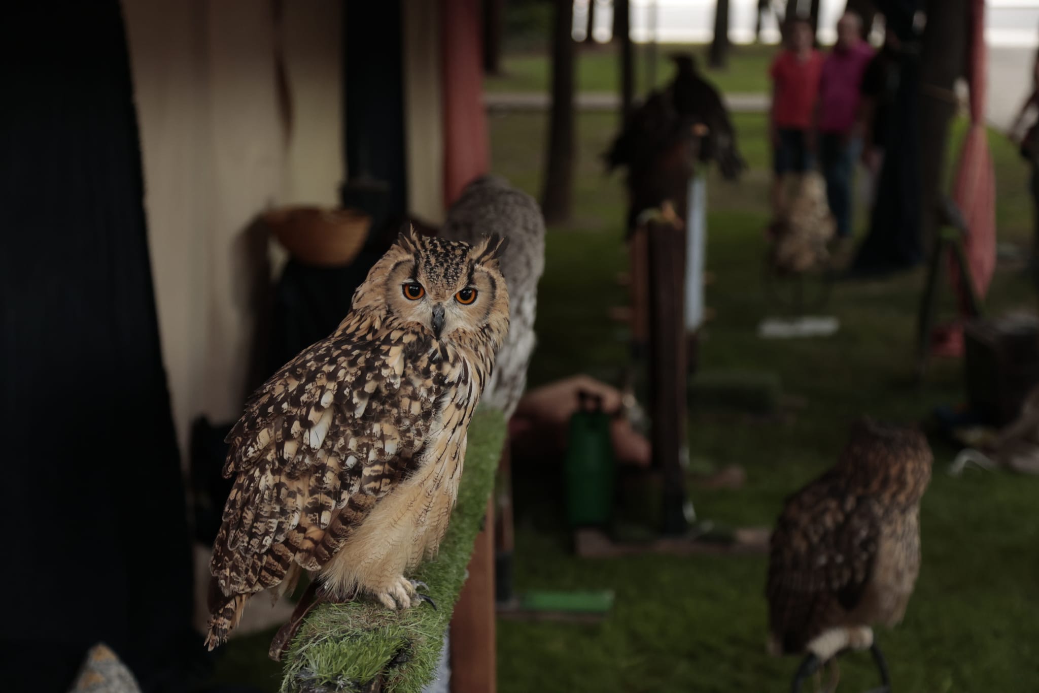 El Mercado Medieval ya ocupa La Vaguada de la Palma