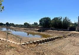 Imagen de una de las actuaciones.