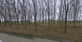 Evolución de la Ciudad Deportiva de Salamanca, hace años una chopera.