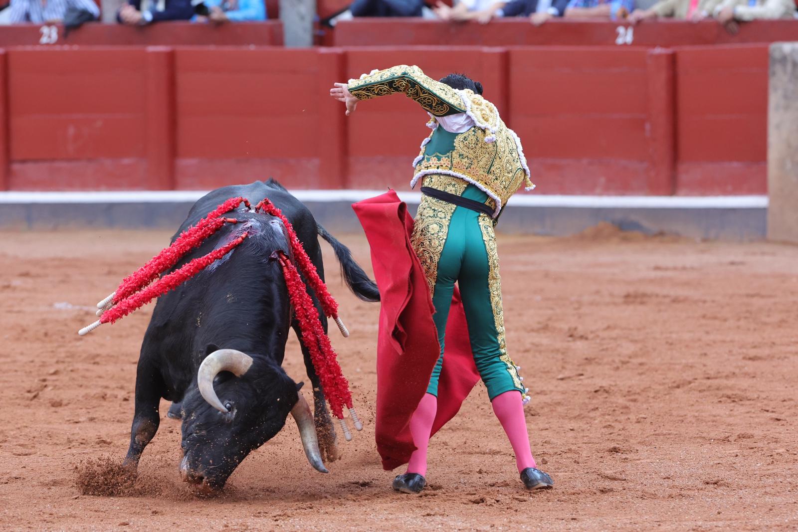 Ismael Martín triunfa en la novillada de Lorenzo Espioja en Salamanca