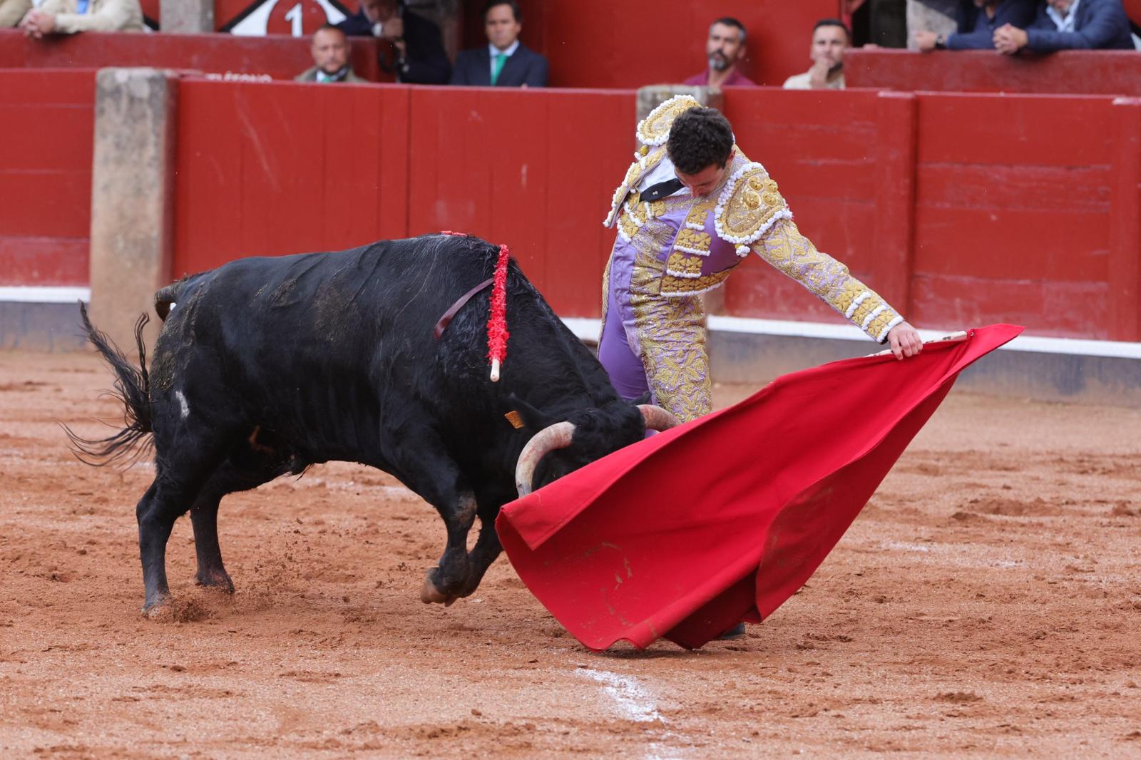 Ismael Martín triunfa en la novillada de Lorenzo Espioja en Salamanca