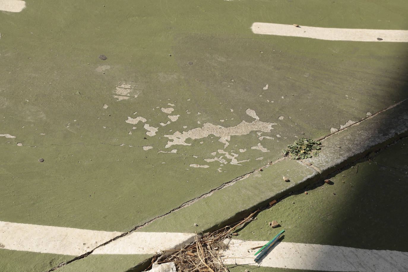 Muchos kilómetros de carril bici pero no más ciclistas