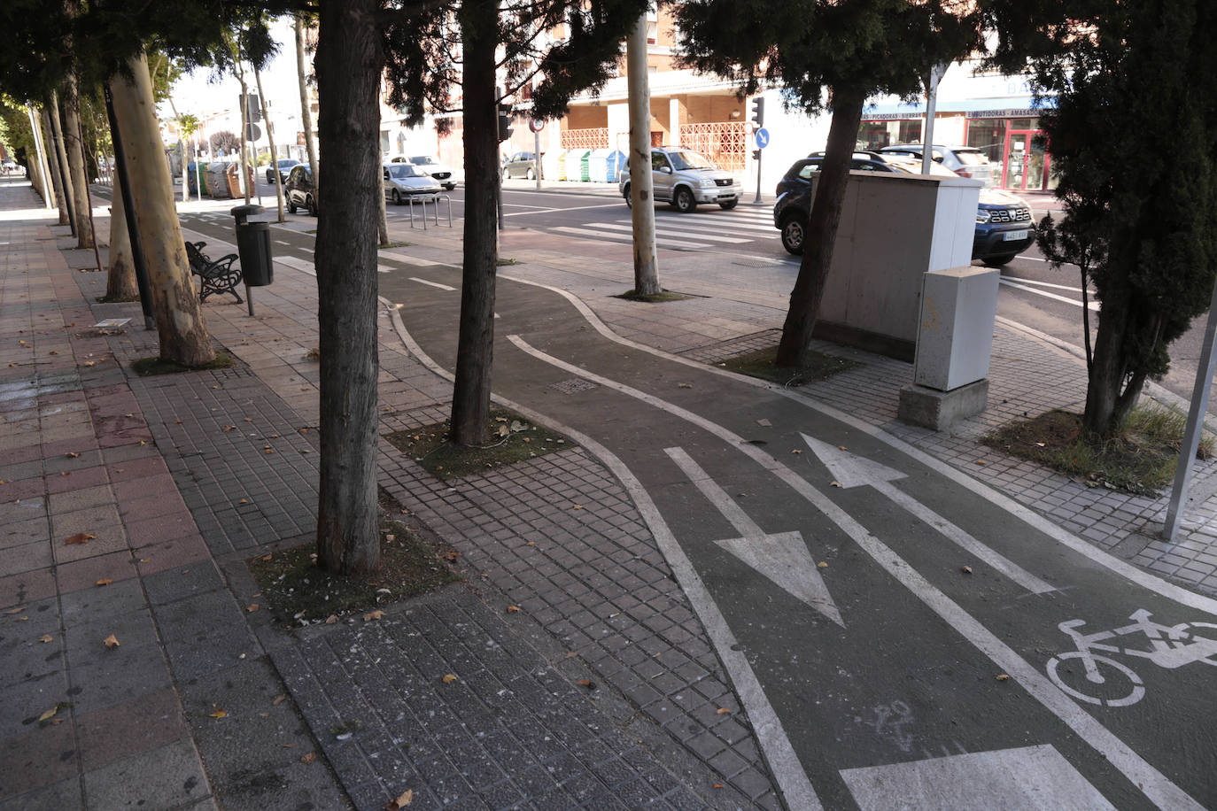 Muchos kilómetros de carril bici pero no más ciclistas