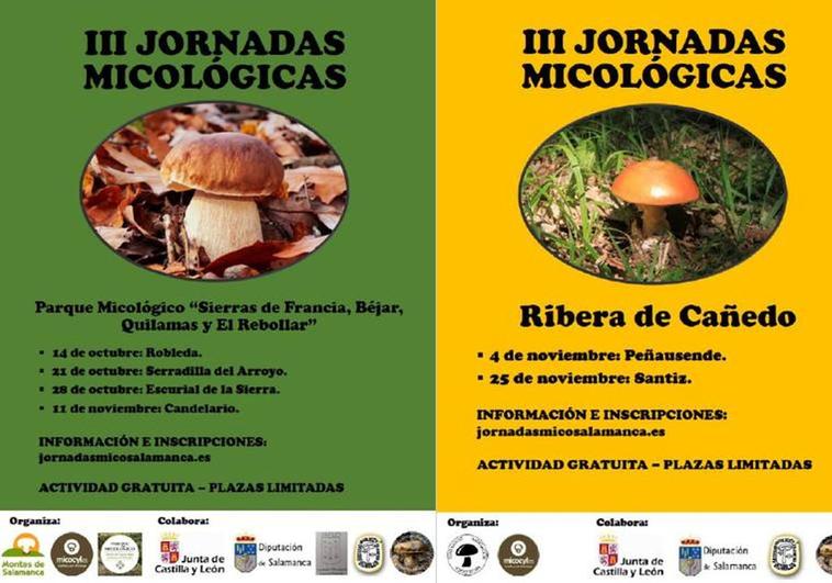 Diputación de Salamanca y Micocyl presentan las jornadas micológicas para este otoño
