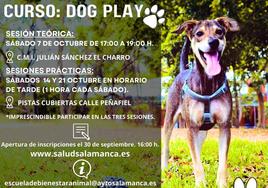 'Dog play', un curso para favorecer la educación y resposabilidad de las mascotas en Salamanca