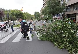 El temporal de viento se ceba con Salamanca