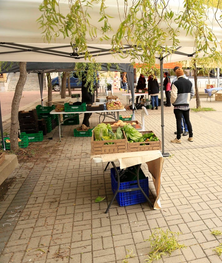 Imagen secundaria 2 - Distintos puestos de productores agroecológicos en la muestra organizada en el marco de las jornadas.