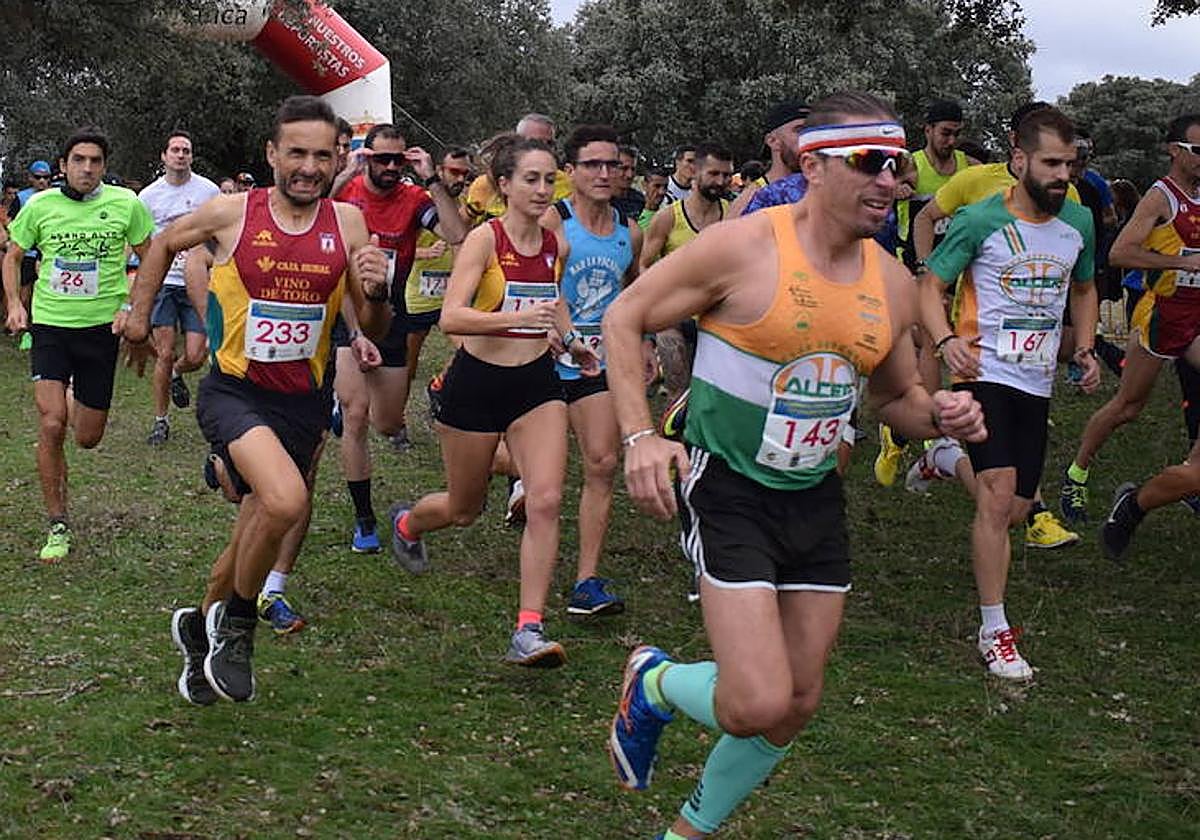 Salida de la prueba absoluta.