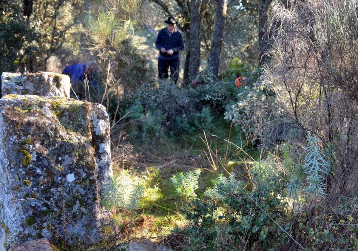 Miembros de la asociación durante la jornada de limpieza.