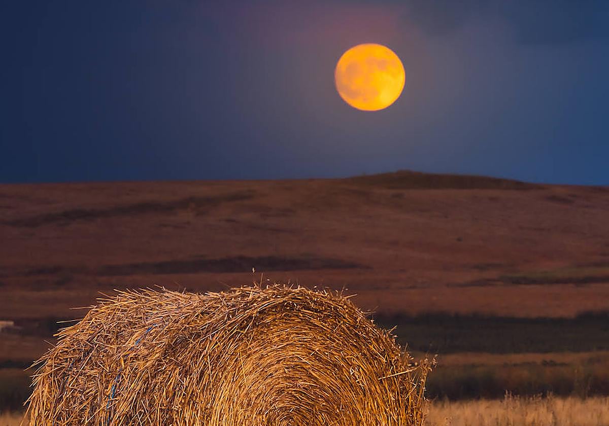 Primer premio categoría general, Jorge Tomás Jiménez