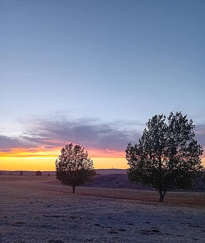 Imagen secundaria 2 - La Oficina Verde de la Universidad de Salamanca falla el concurso de fotografía &#039;Crisol de caminos&#039;