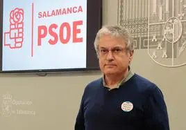 El portavoz del PSOE en la Diputación Fernando Rubio.