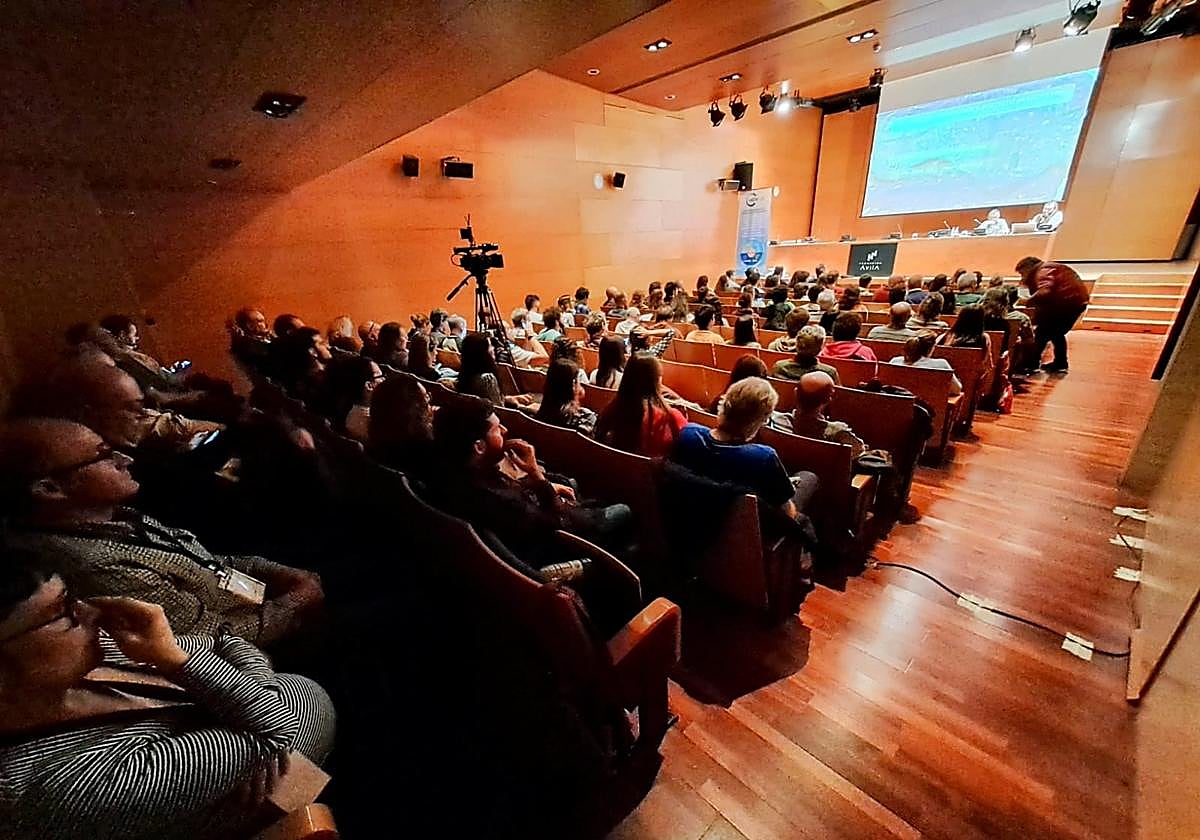 Imagen del encuentro en Ávila.