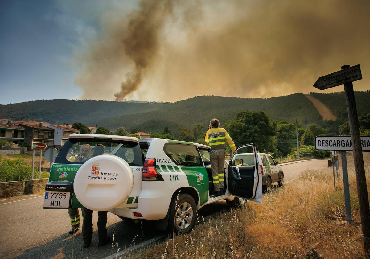 Personal de la Junta en el control de un incendio forestal.