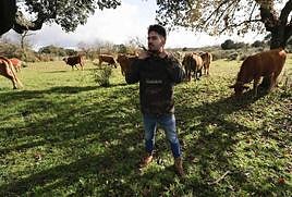 Jesús Rodríguez, con sus vacas.