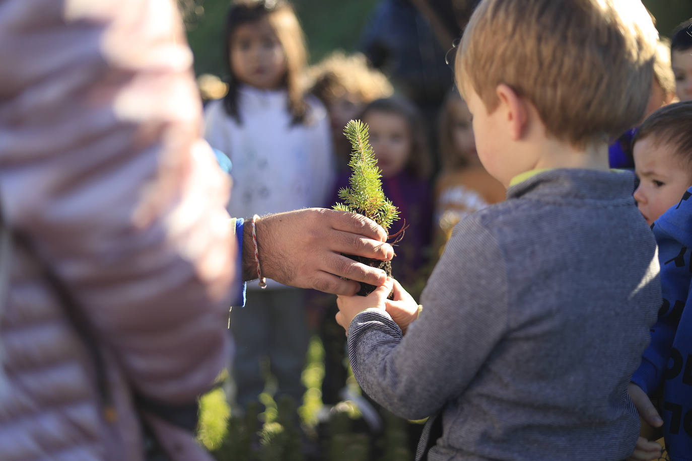 El nuevo camino verde vecinal del Norte de Salamanca