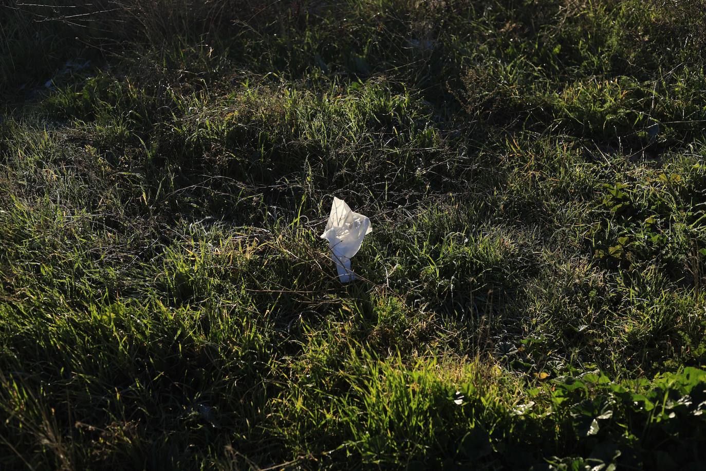 El nuevo camino verde vecinal del Norte de Salamanca