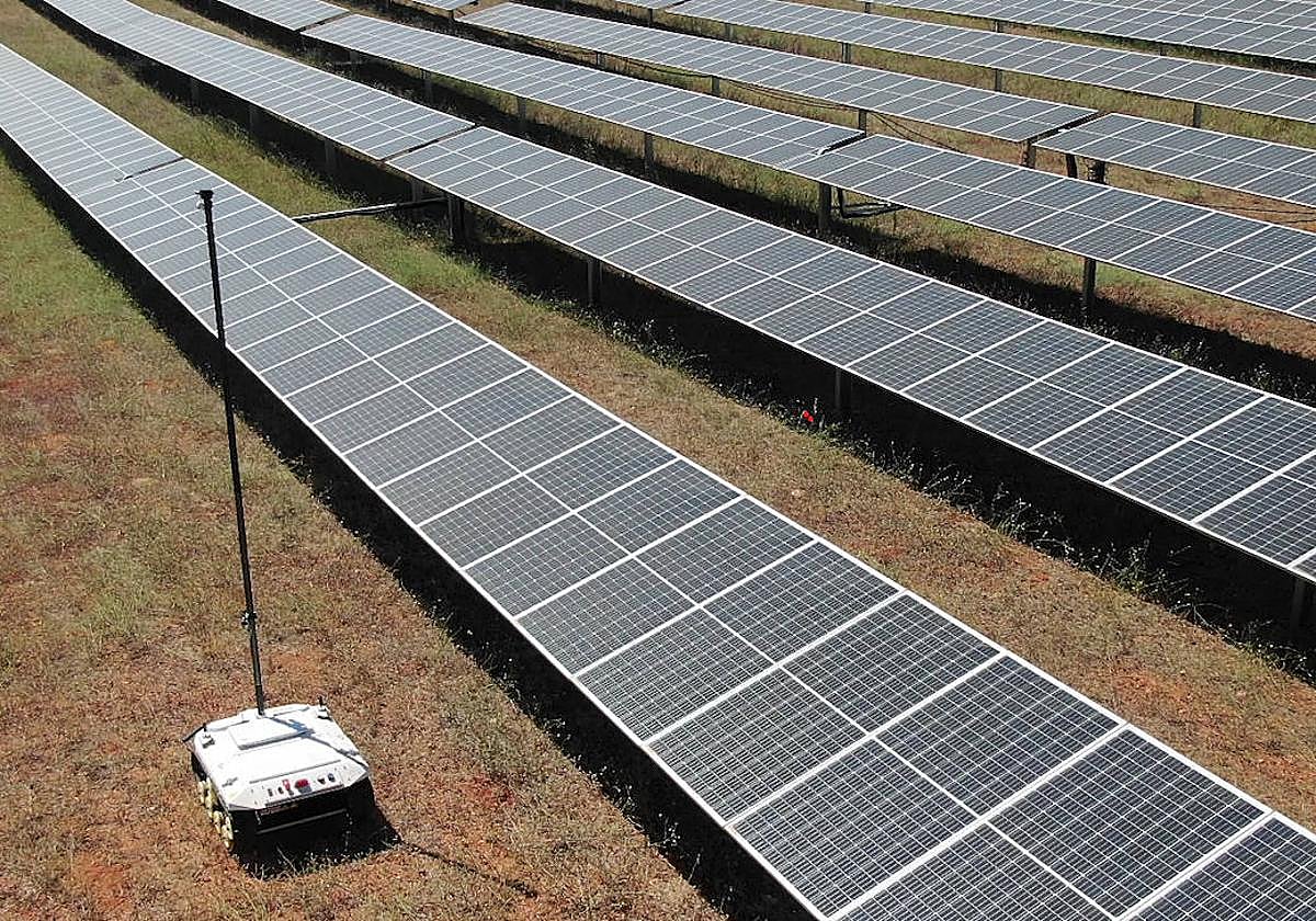Arbórea Intellbird desarrolla robots para la gestión sostenible de grandes plantas fotovoltaicas