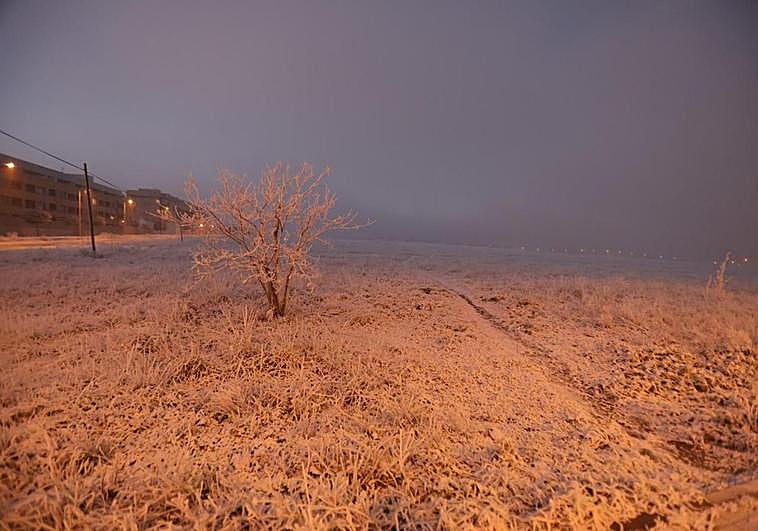 La helada de esta mañana en la capital de Salamanca se fusiona con la intensa niebla.