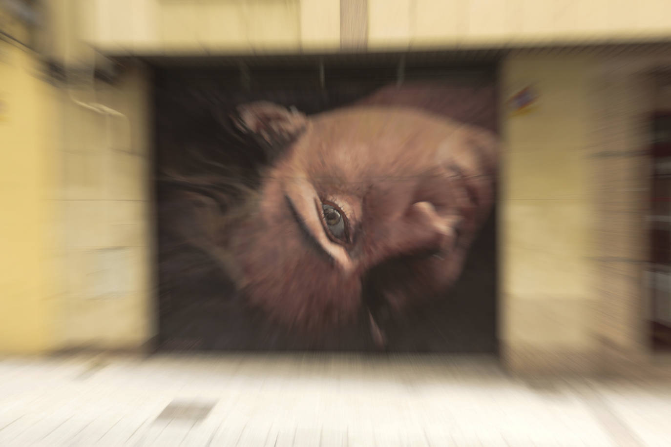 Fotos: Otra mirada a Salamanca: Barrio del Oeste