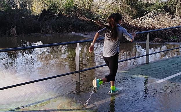 Imagen principal - La espectacular crecida del Tormes a su paso por Salamanca
