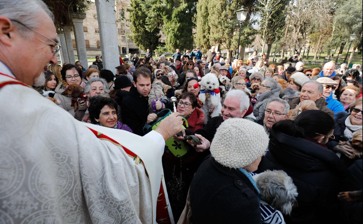 Vuelve la bendición de los animales a Salamanca por la festividad de San Antón