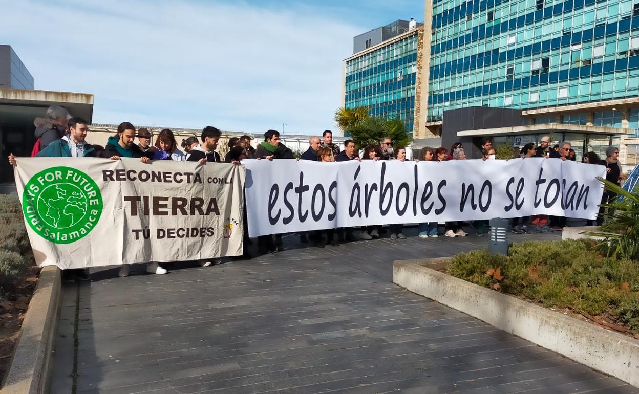 Fridays For Future Salamanca celebra la permanencia de los árboles .