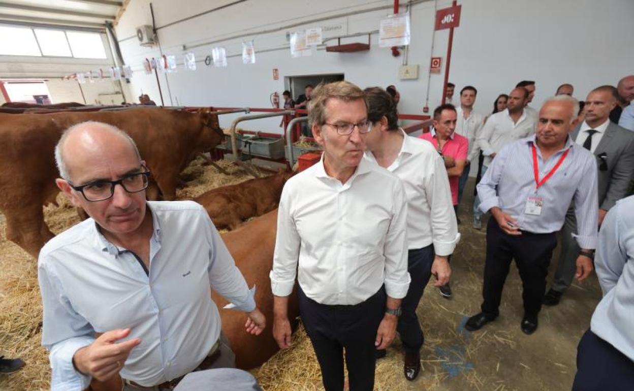 Feijóo en Salamanca.