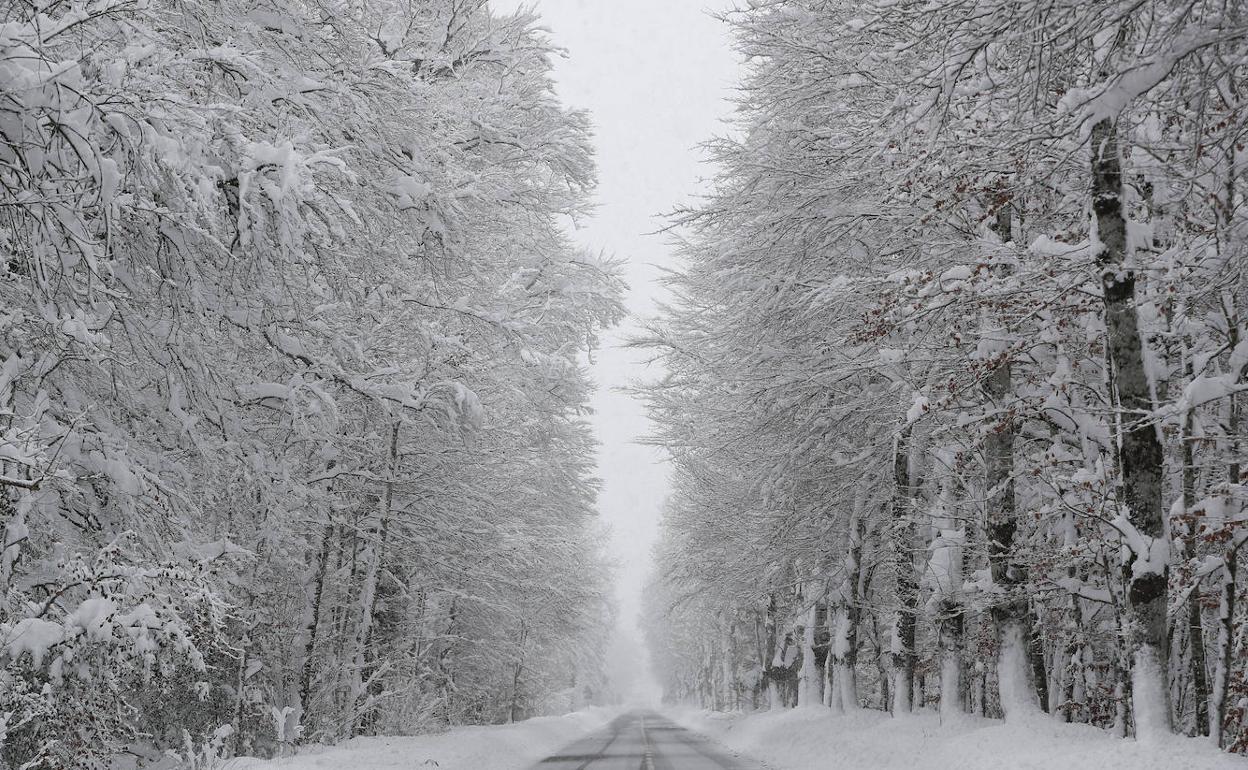 Vista de una carretera el jueves en Roncesvalles (Navarra) cubierta por la nieve. 