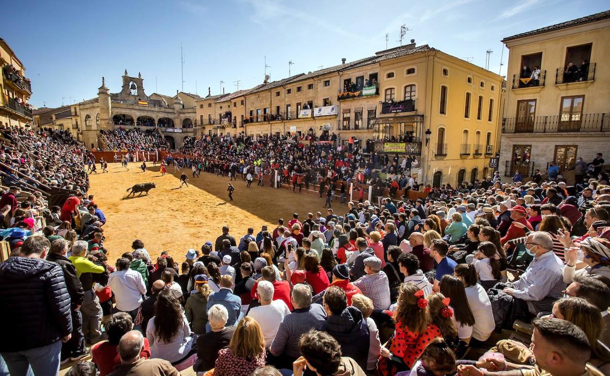 Festejo taurino en la plaza de toros de tablas de Ciudad Rodrigo. 