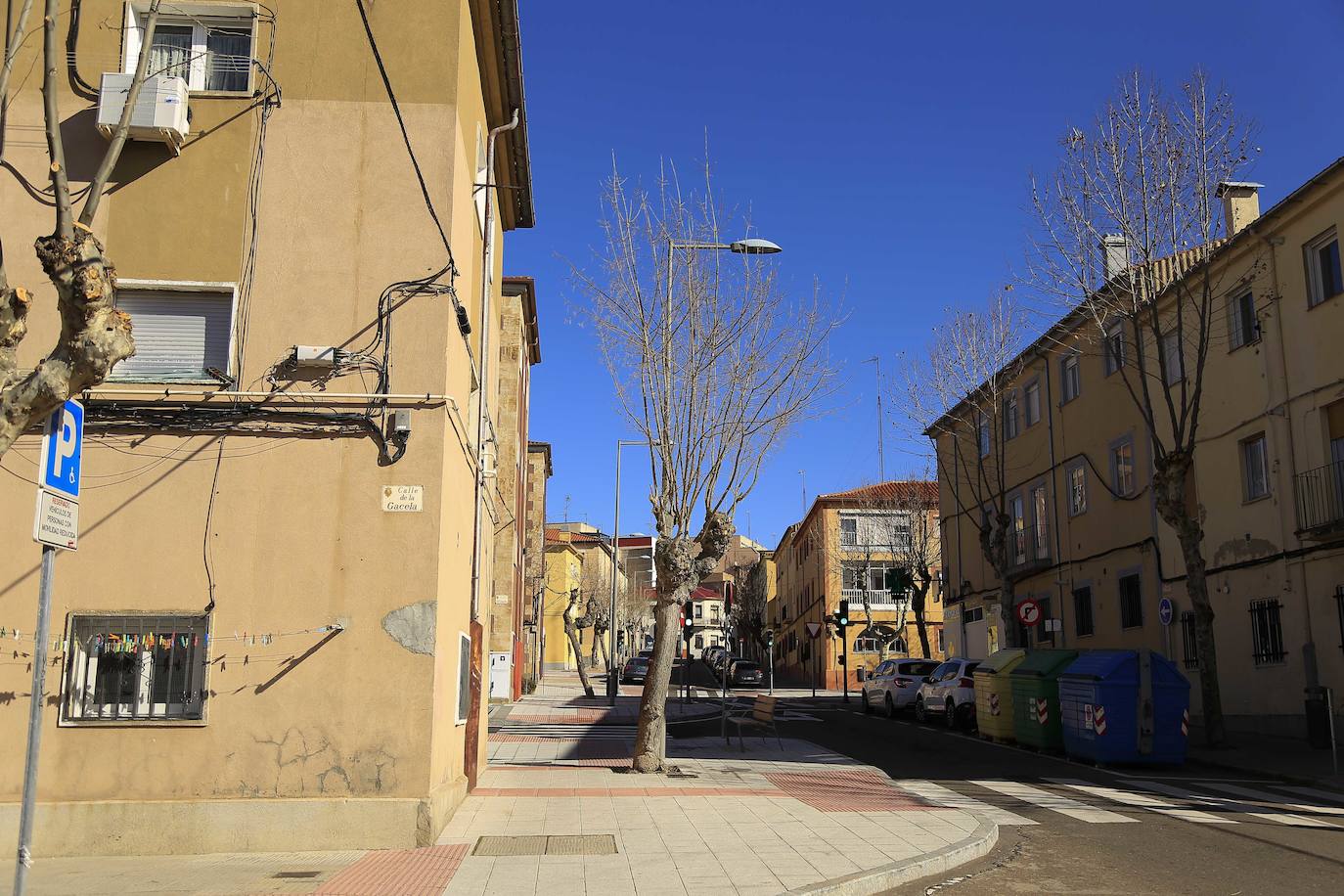 Fotos: El sistema de podas del Ayuntamiento de Salamanca cada vez despierta más recelos