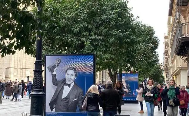 En la Avenida de la Constitución se exhiben medio centenar de fotografías.