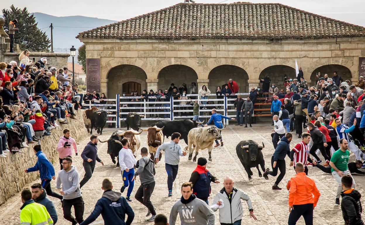 Imagen de uno de los encierros del Carnaval del Toro de Ciudad Rodrigo de 2022. 