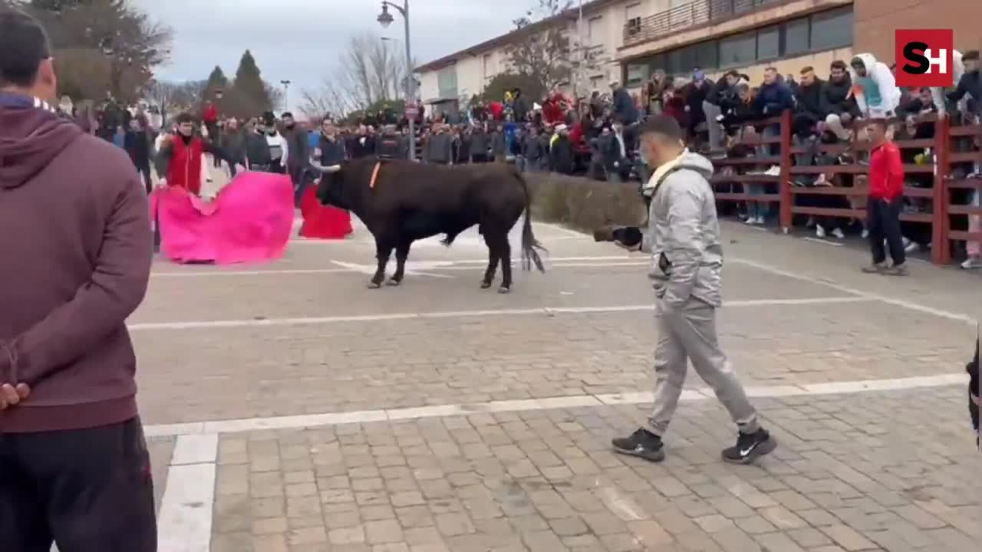 Encierro de Ciudad Rodrigo
