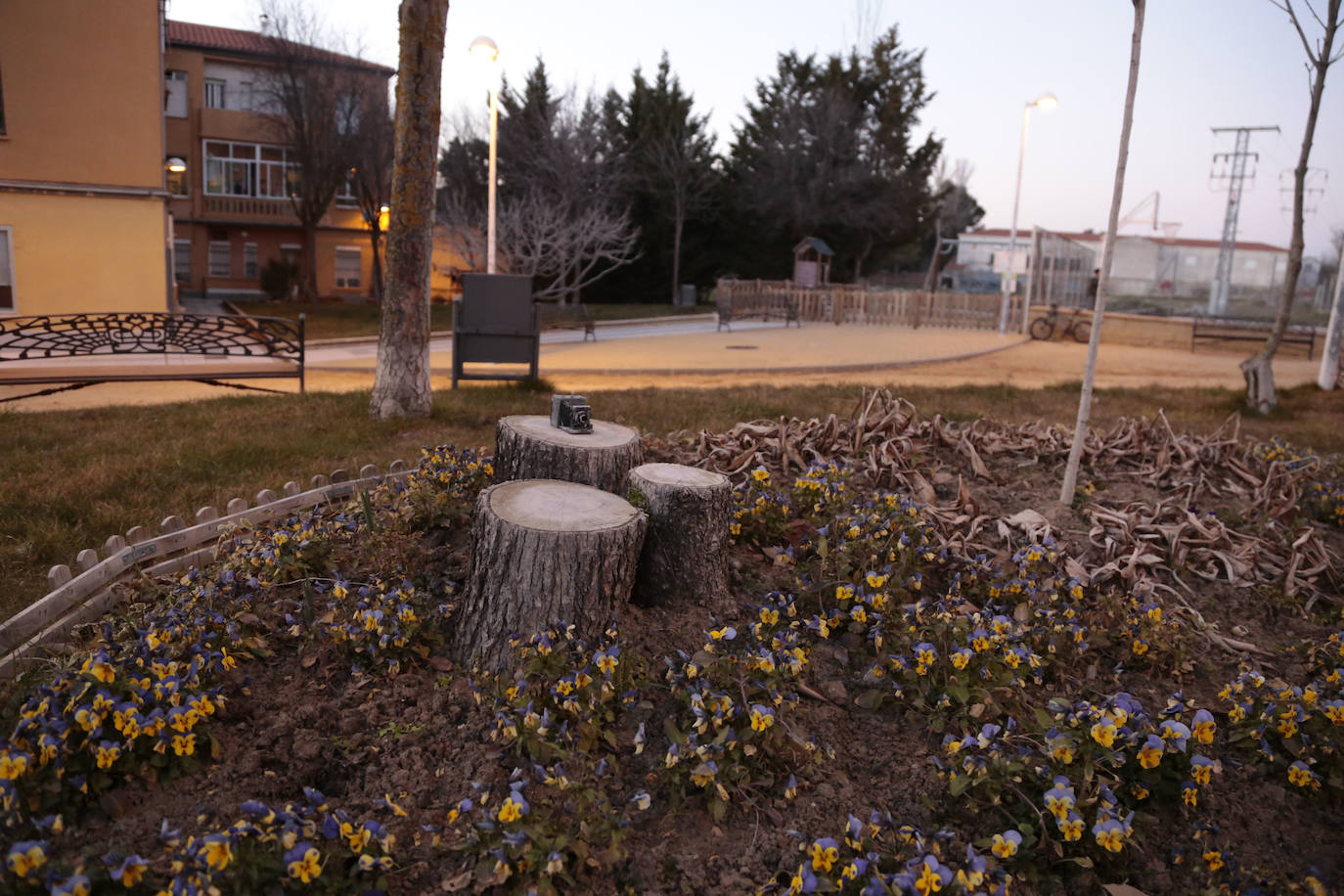 Fotos: Ciudad Jardín celebra su 70 aniversario